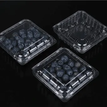 Embalagem clamshell de mirtilo Caixa de embalagem de frutas cortadas frescas Embalagem de frutas Embalagem de recipiente de frutas clamshell de mirtilo
